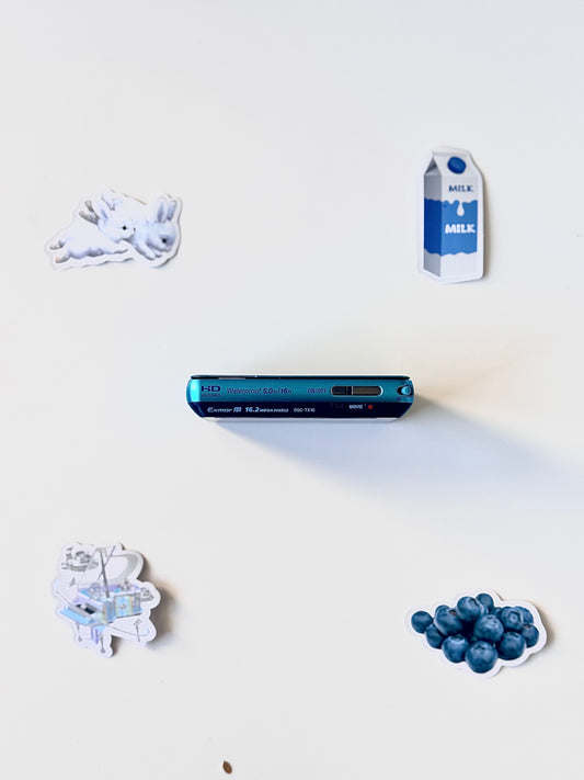 Sony Cyber-shot DSC-TX10 16.2MP Digital Camera Blue