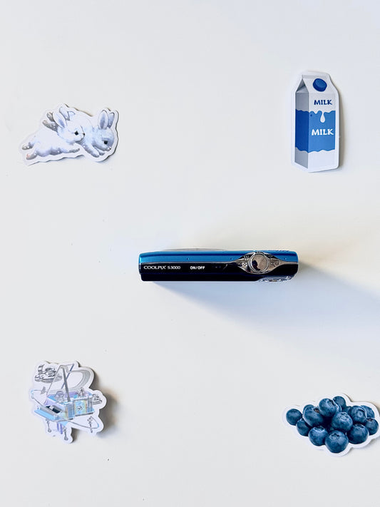 Nikon Coolpix S3000 12MP Digital Camera Blue