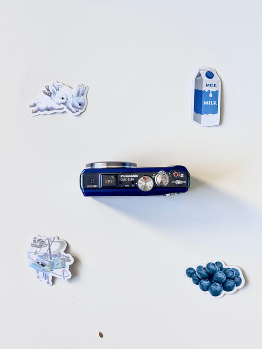 Panasonic Lumix DMC-ZS10 14.1MP Digital Camera Blue