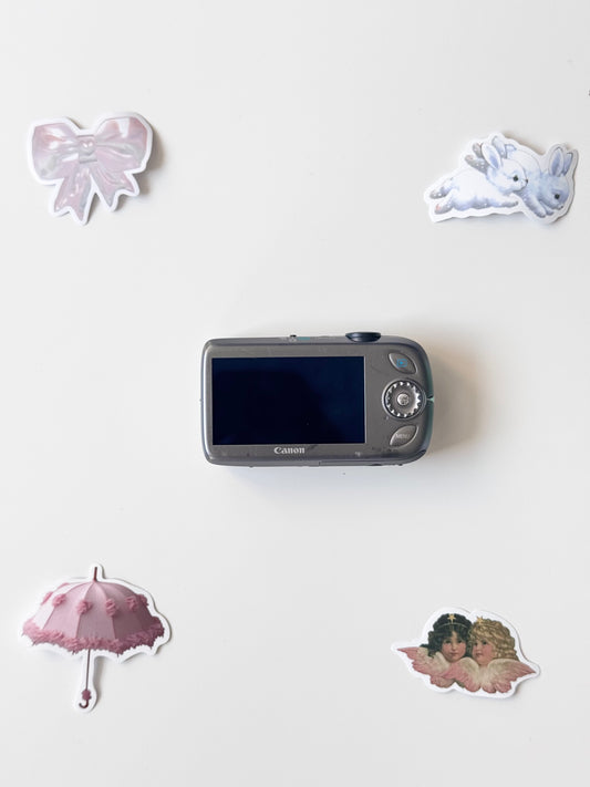 Canon PowerShot SD960 IS 12.1MP Digital Camera Silver
