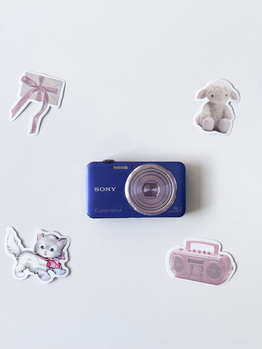 Sony Cyber-shot DSC-WX7 16.1MP Digital Camera Blue
