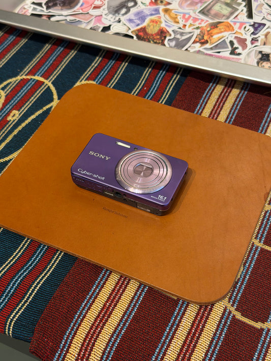 Sony Cyber-shot DSC-W570 16.1MP Purple