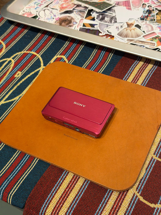 Sony Cyber-shot DSC-TX9 12.2MP Pink