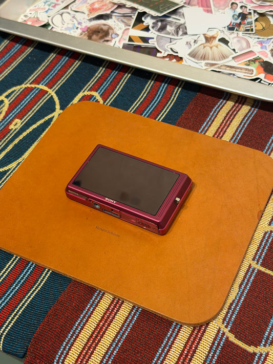 Sony Cyber-shot DSC-TX9 12.2MP Pink